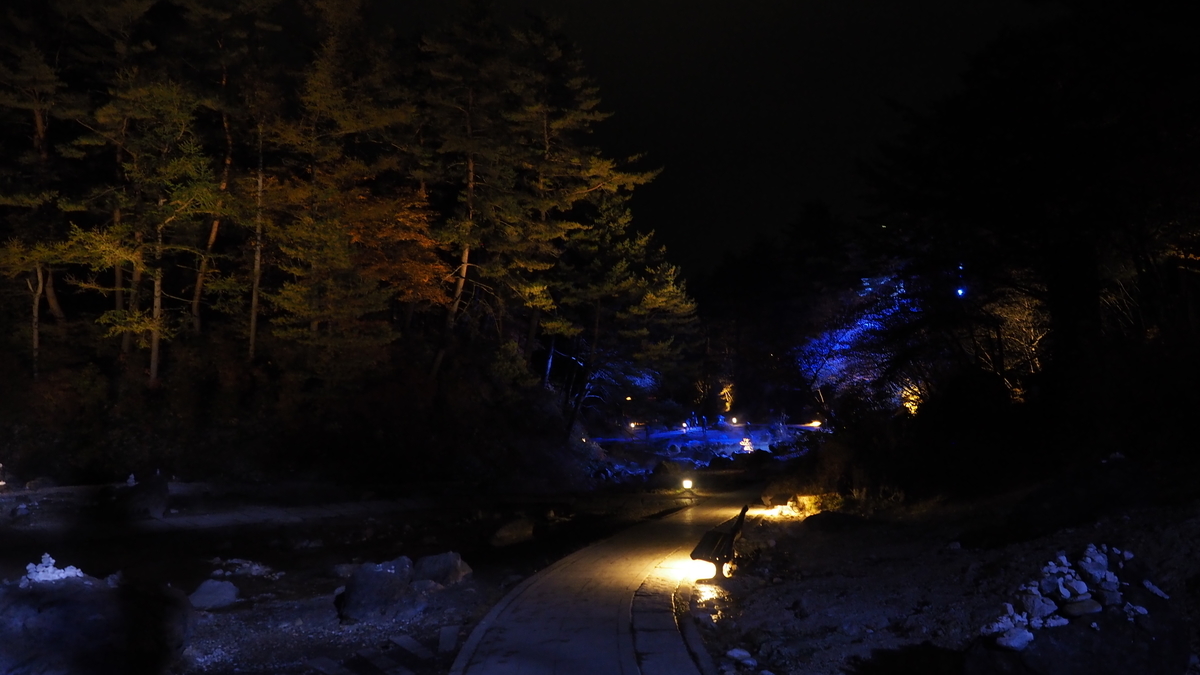 f:id:irukas980:20220110093340j:plain