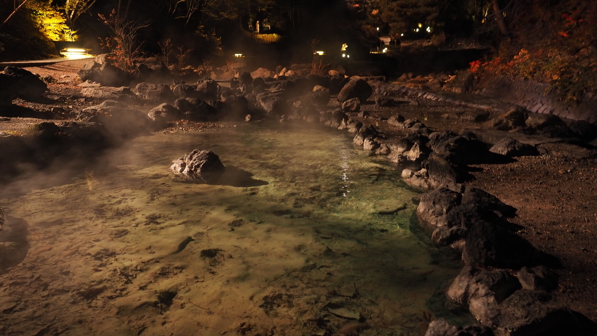 f:id:irukas980:20220110093418j:plain