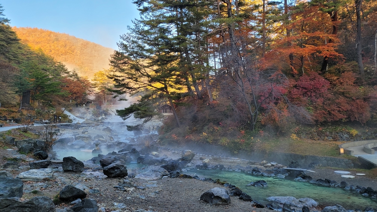 f:id:irukas980:20220110093626j:plain