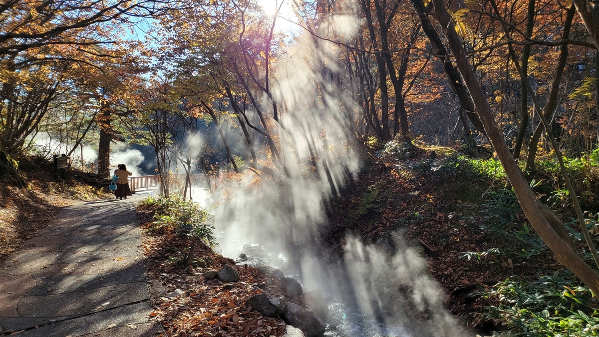 f:id:irukas980:20220110093740j:plain