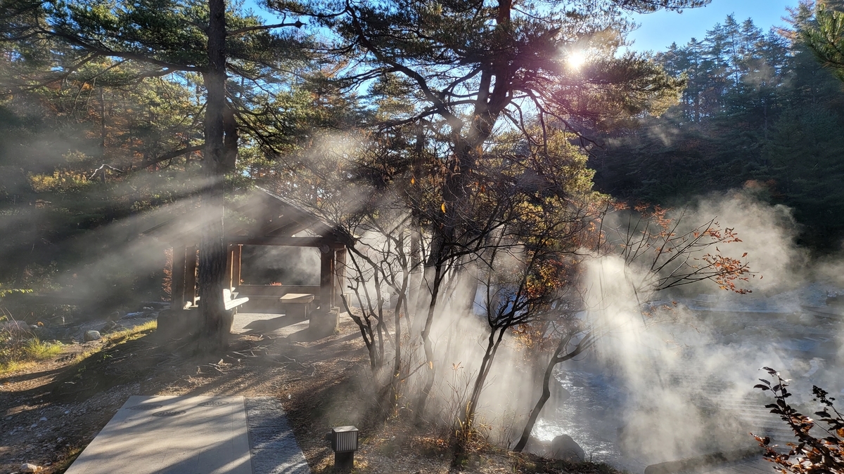 f:id:irukas980:20220110093809j:plain