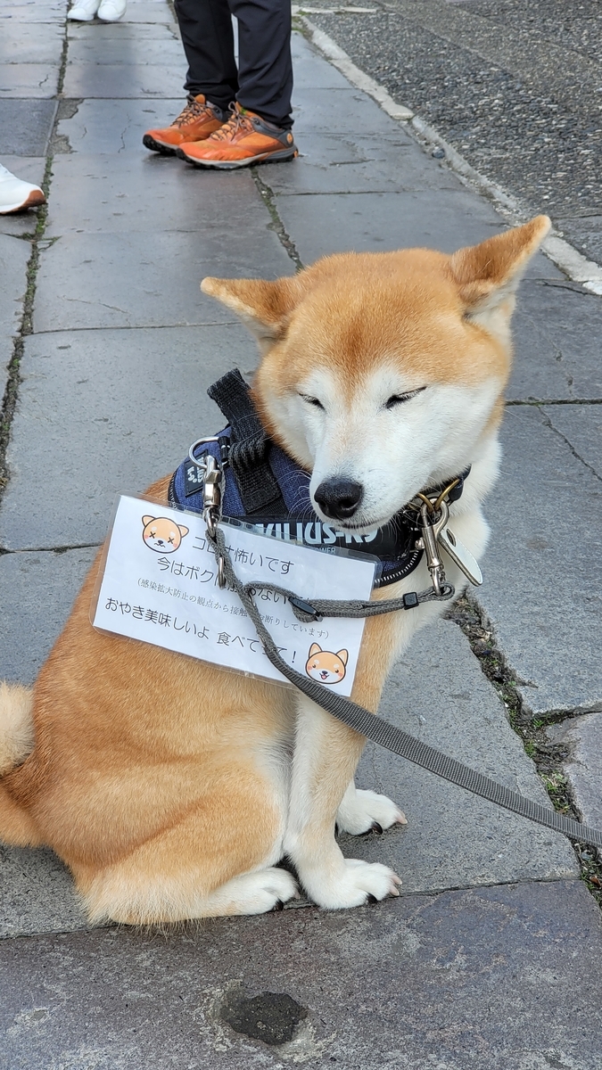 f:id:irukas980:20220112013904j:plain