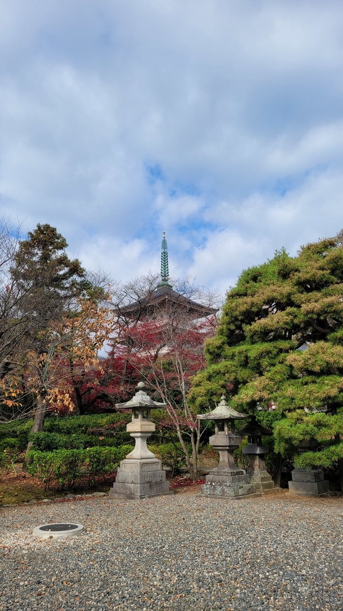 f:id:irukas980:20220112014123j:plain