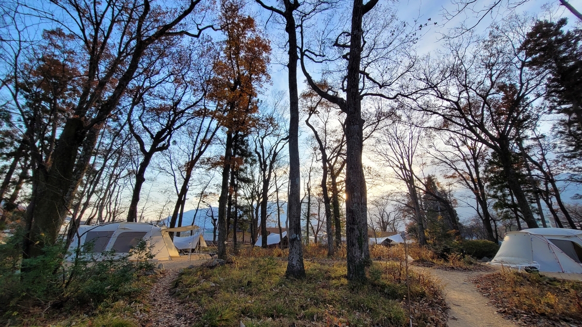 f:id:irukas980:20220112014306j:plain