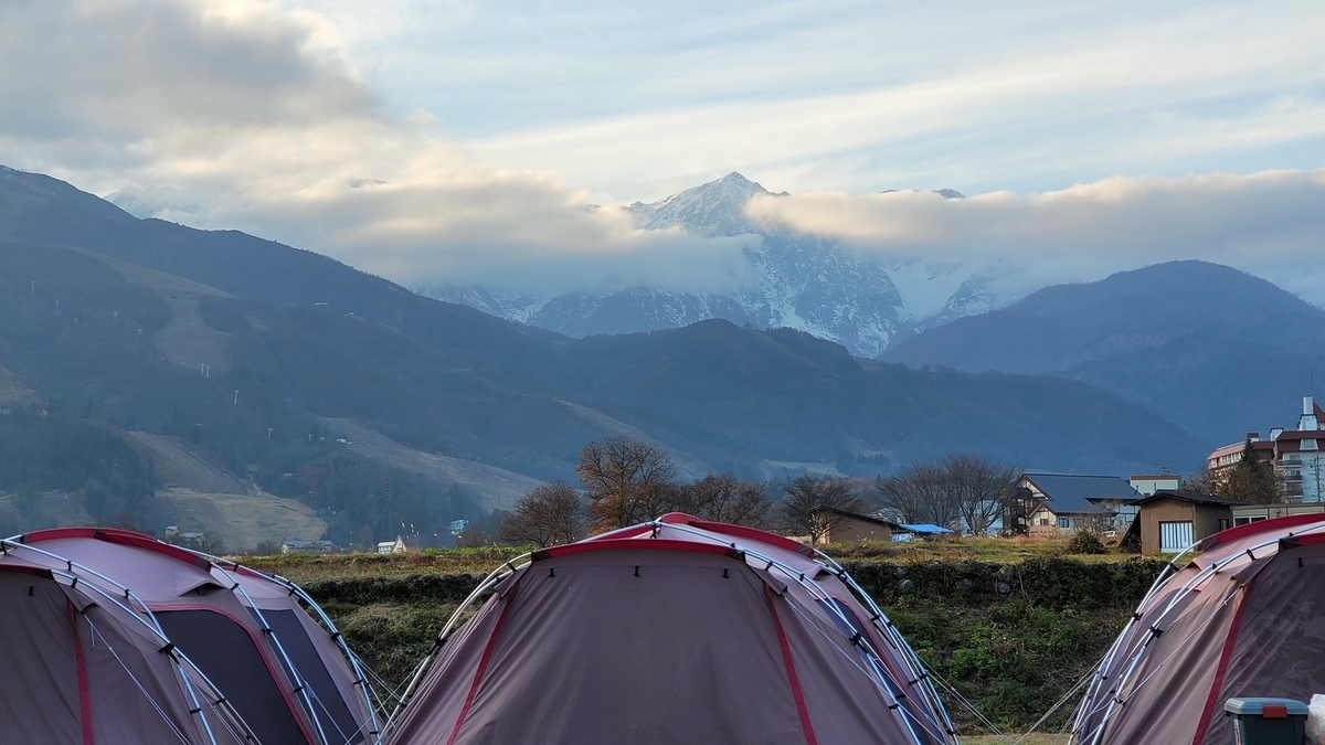 f:id:irukas980:20220112020319j:plain