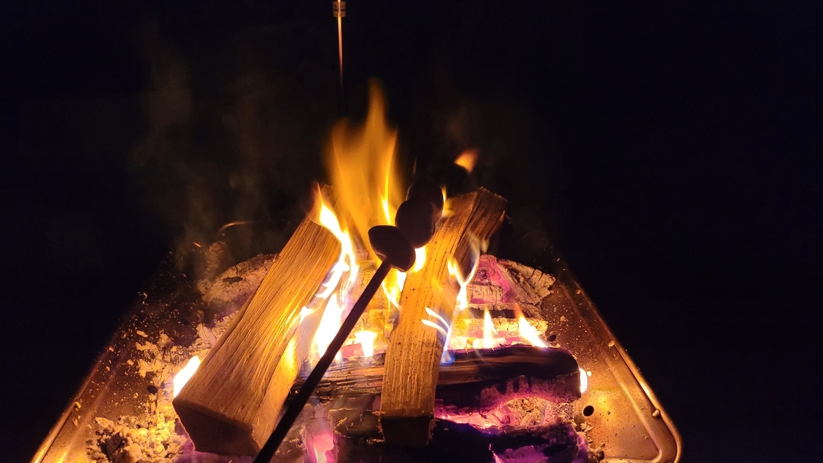 f:id:irukas980:20220112020824j:plain