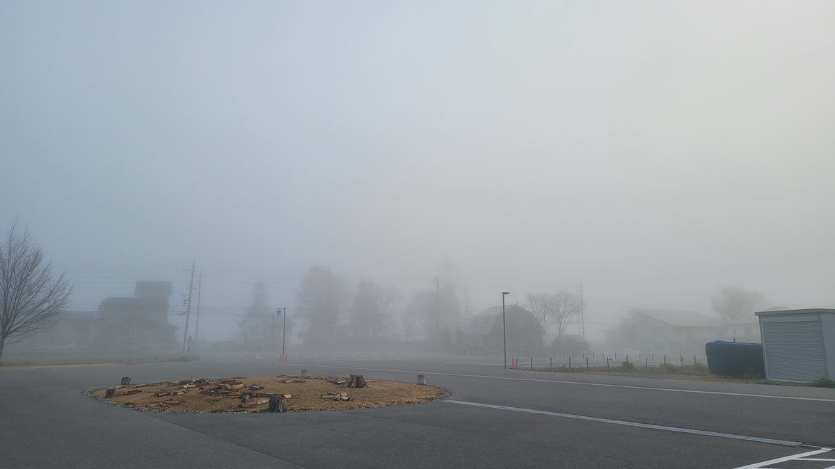 f:id:irukas980:20220112020930j:plain