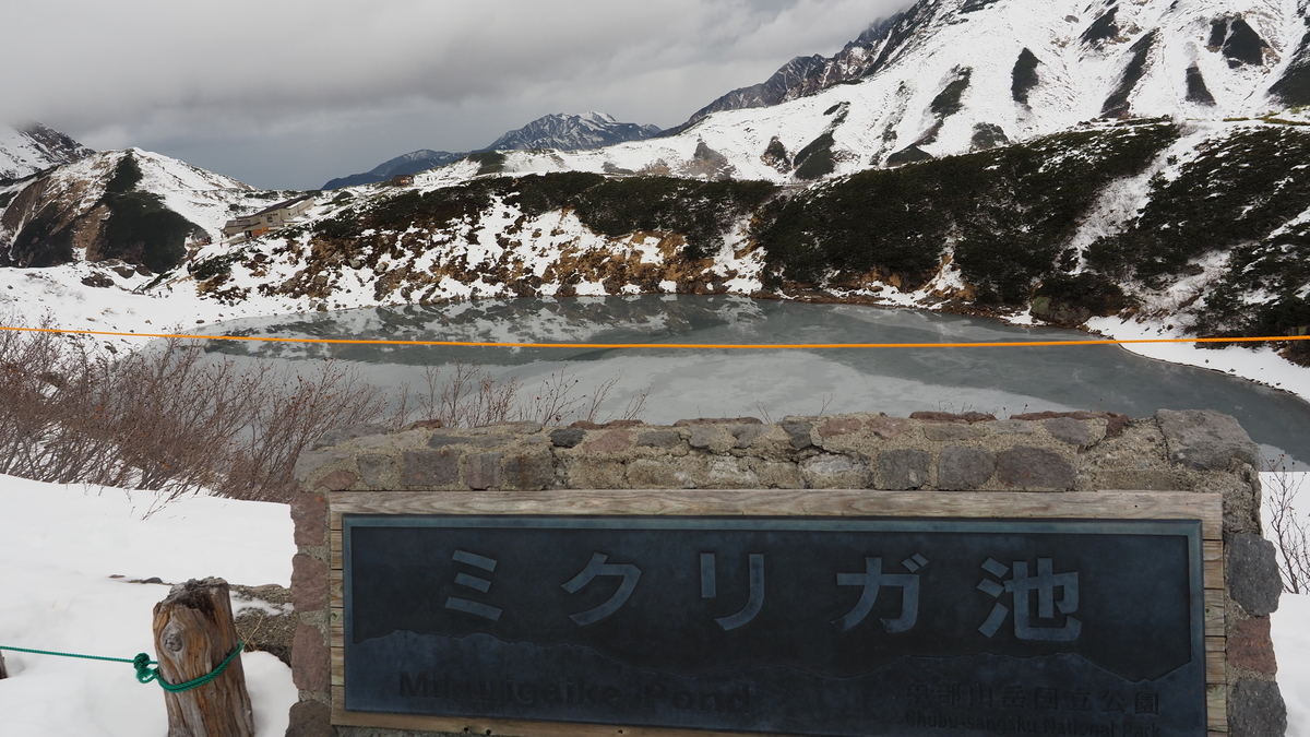 f:id:irukas980:20220116010834j:plain