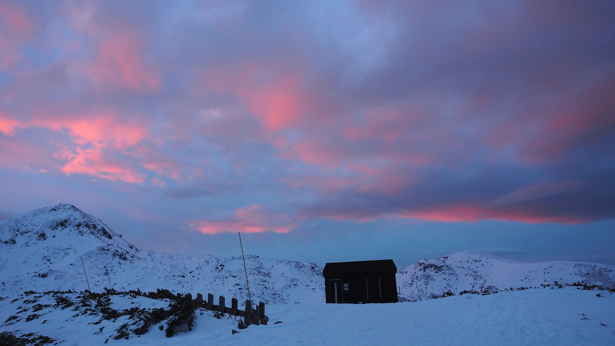f:id:irukas980:20220116012928j:plain