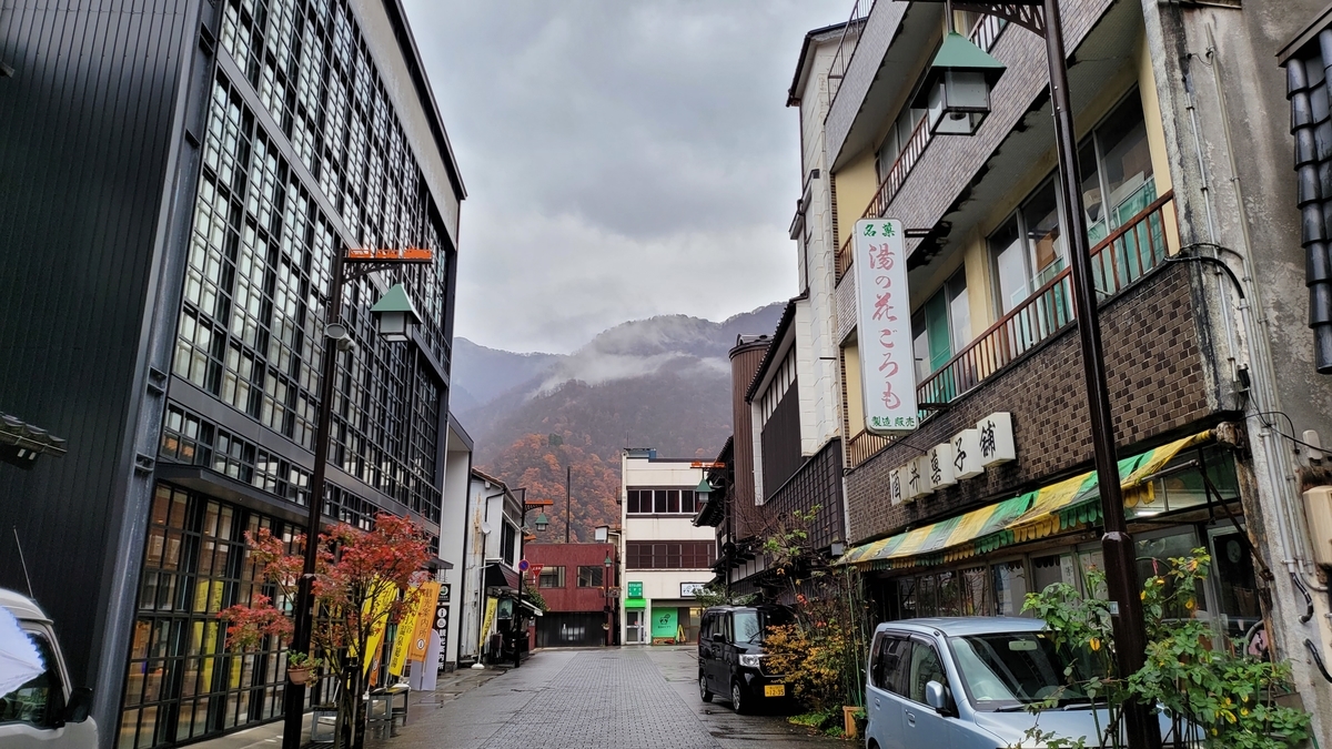 f:id:irukas980:20220116015048j:plain