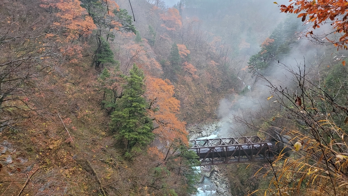 f:id:irukas980:20220116021922j:plain