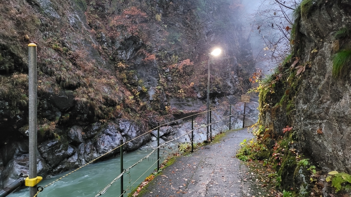 f:id:irukas980:20220116023223j:plain