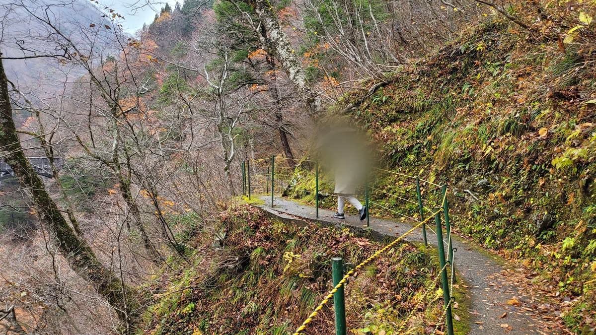 f:id:irukas980:20220120224355j:plain