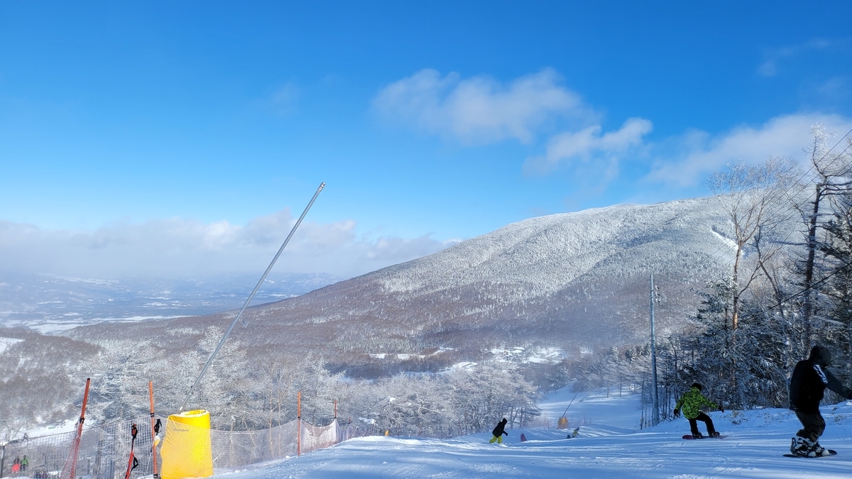 f:id:irukas980:20220120224632j:plain