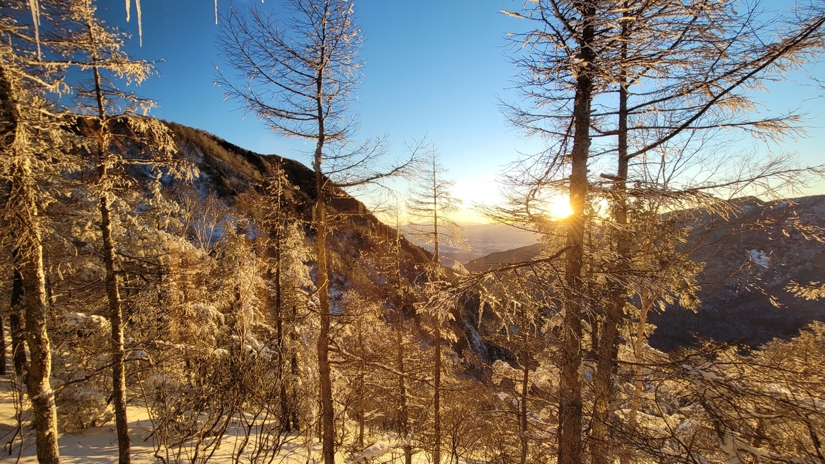 f:id:irukas980:20220120225232j:plain