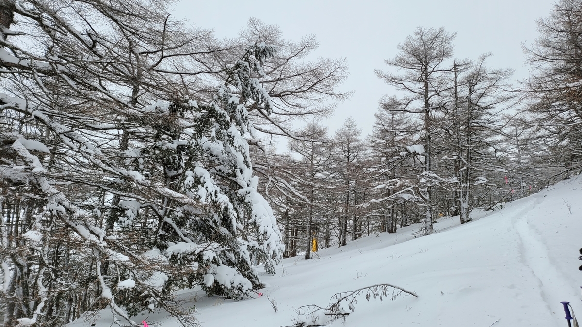 f:id:irukas980:20220120230816j:plain