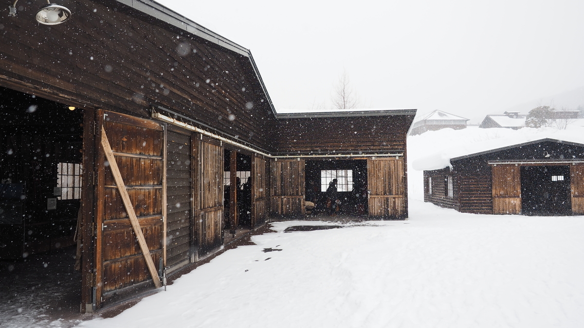 f:id:irukas980:20220312175339j:plain