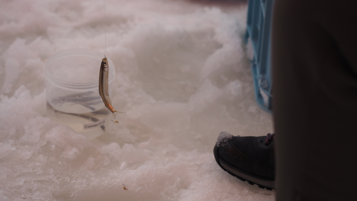 f:id:irukas980:20220312184032j:plain