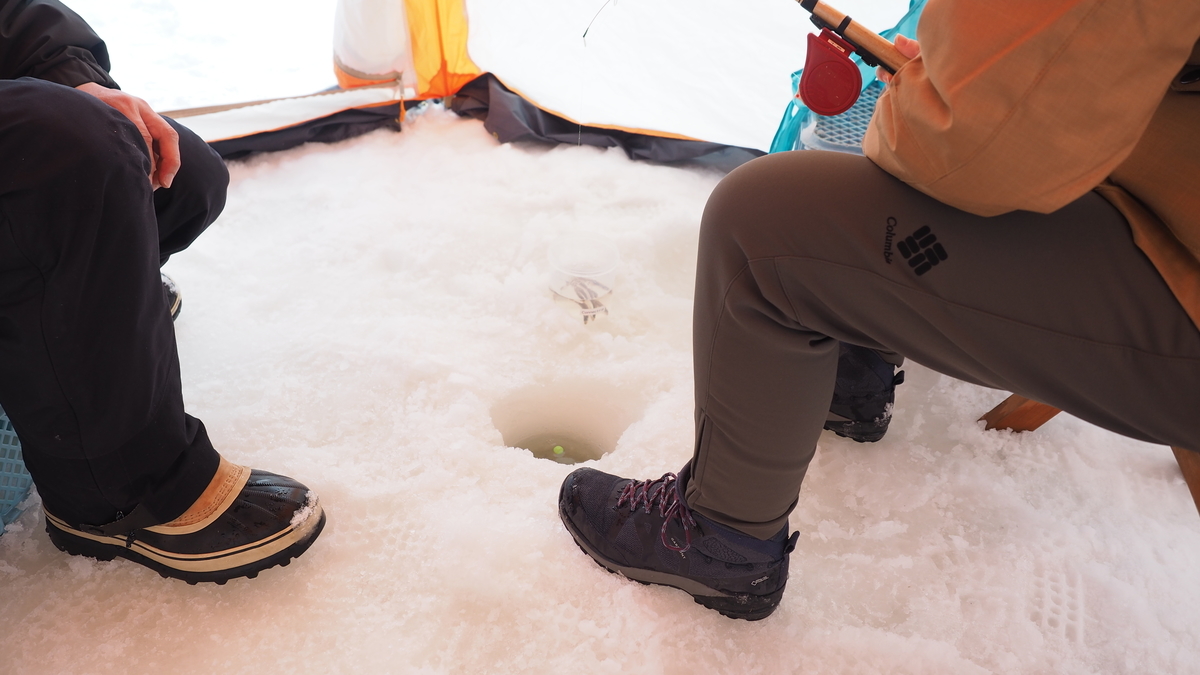 f:id:irukas980:20220312184229j:plain