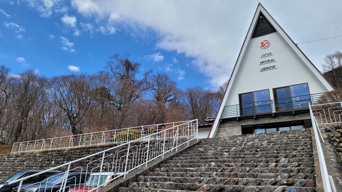 f:id:irukas980:20220417083732j:plain