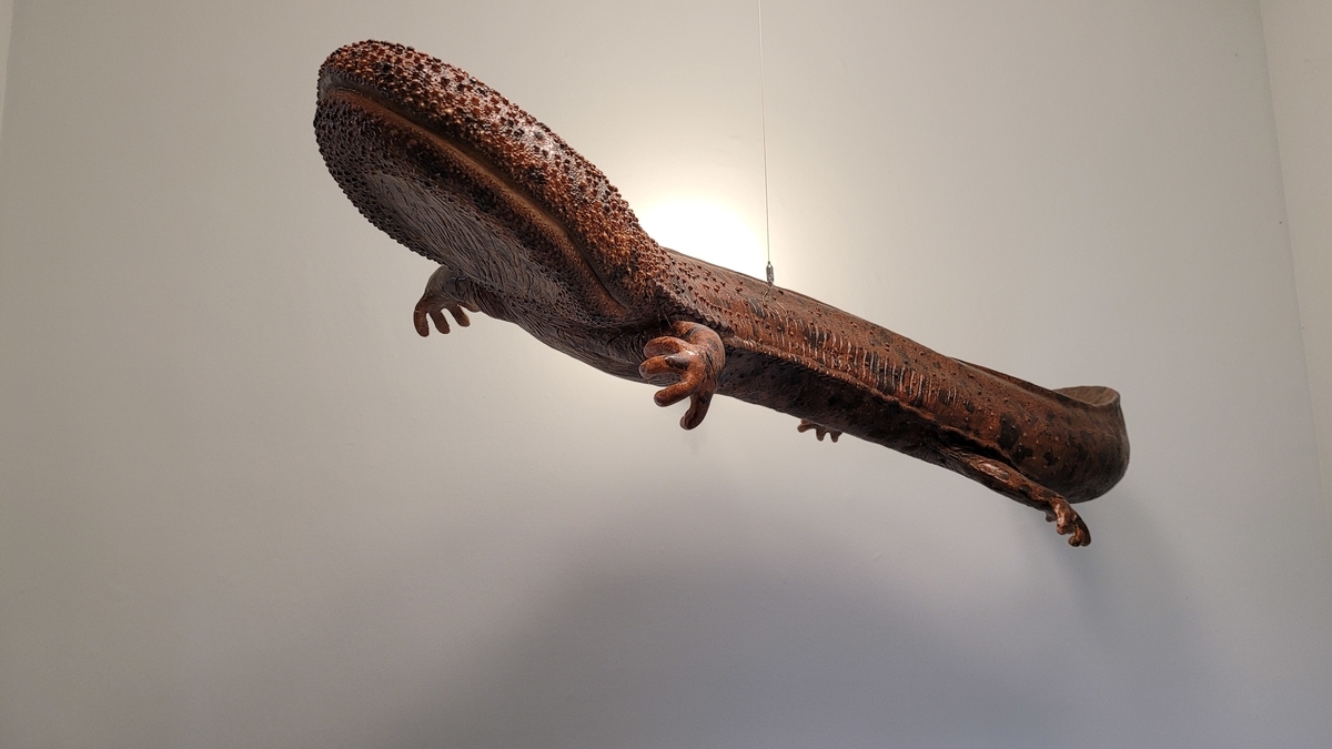 f:id:irukas980:20220417084118j:plain