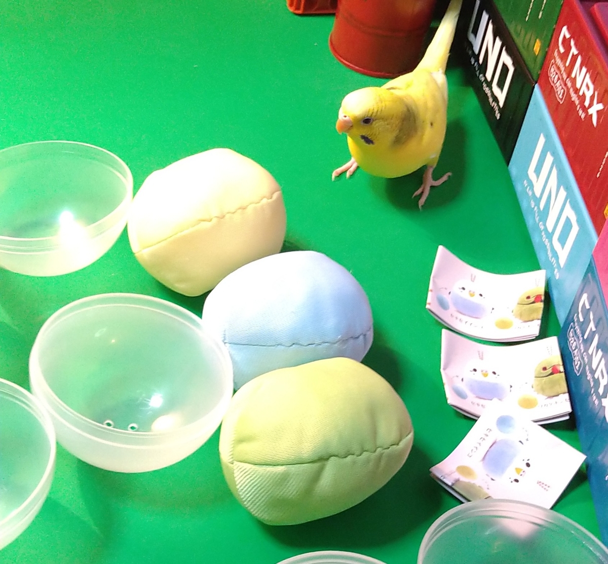 愛鳥家必見 Qualia インコが生まれるたまごのぬいぐるみ ガチャ レビュー ガシャポン ヒートペンとおもちゃの日常 愛鳥家必見 Qualia インコが生まれるたまごのぬいぐるみ ガチャ レビュー ガシャポン ヒートペンとおもちゃの日常