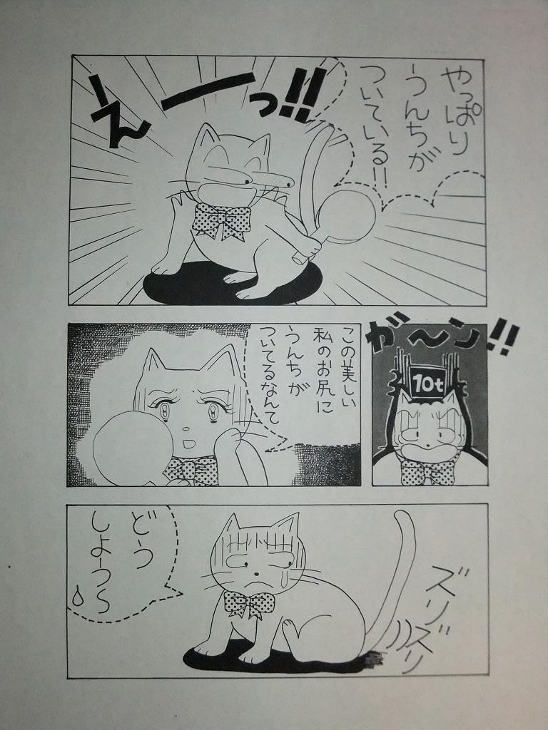 f:id:irurunoblog:20160304211638j:plain