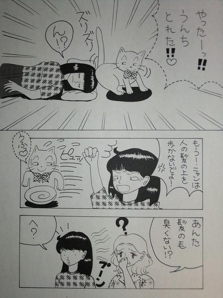 f:id:irurunoblog:20160304211659j:plain