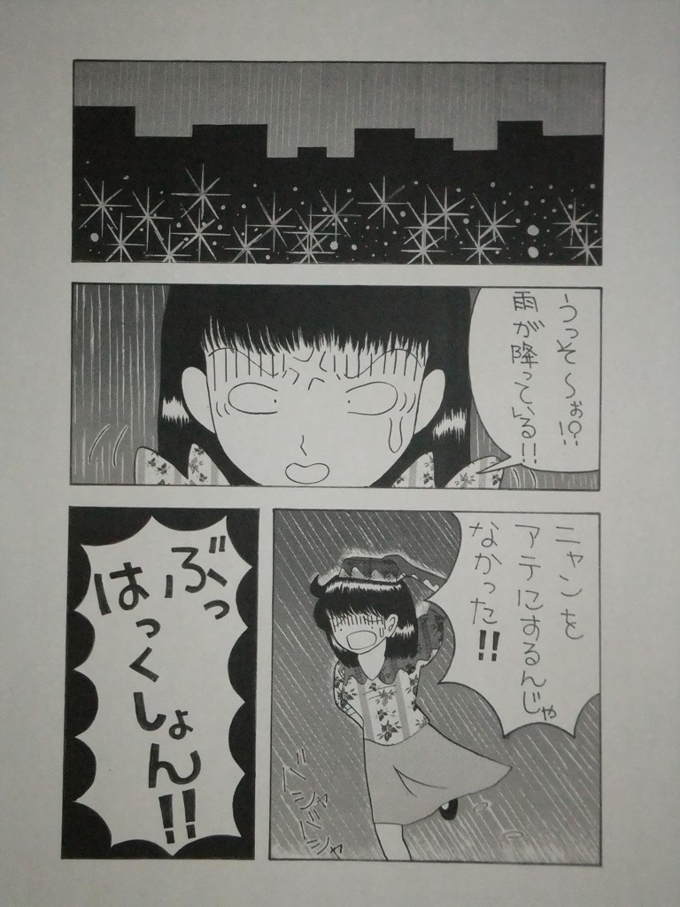 f:id:irurunoblog:20161226224556j:plain