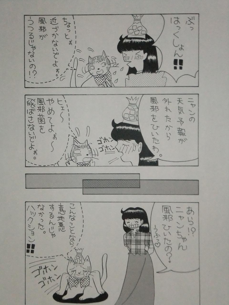 f:id:irurunoblog:20161226224608j:plain