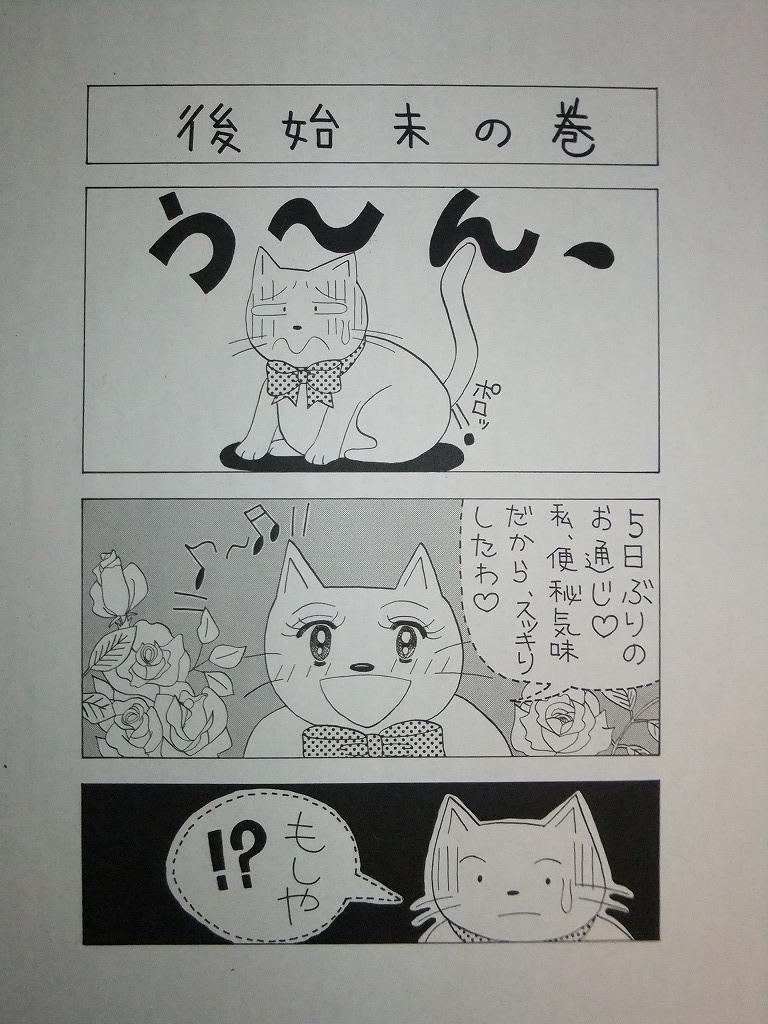 f:id:irurunoblog:20170313235139j:plain