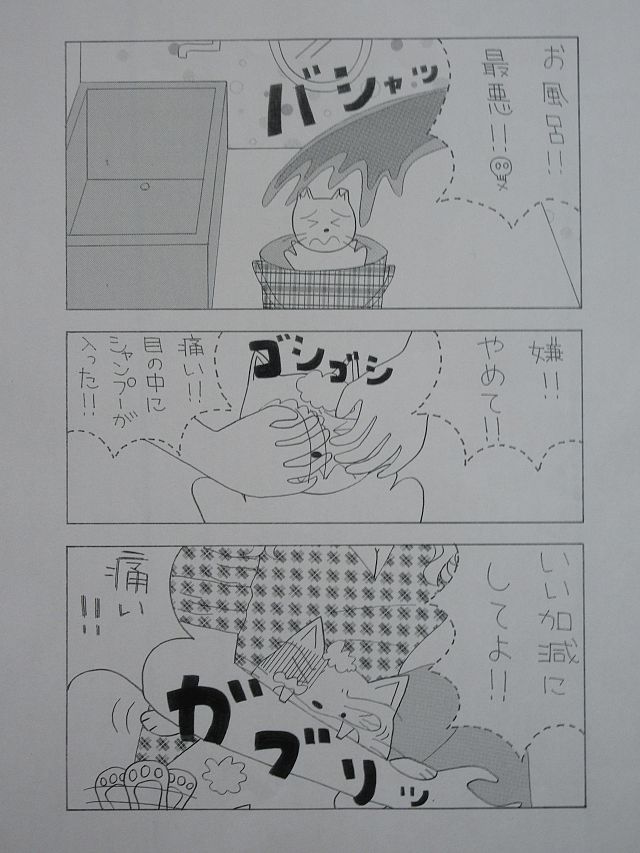 f:id:irurunoblog:20190221113050j:plain