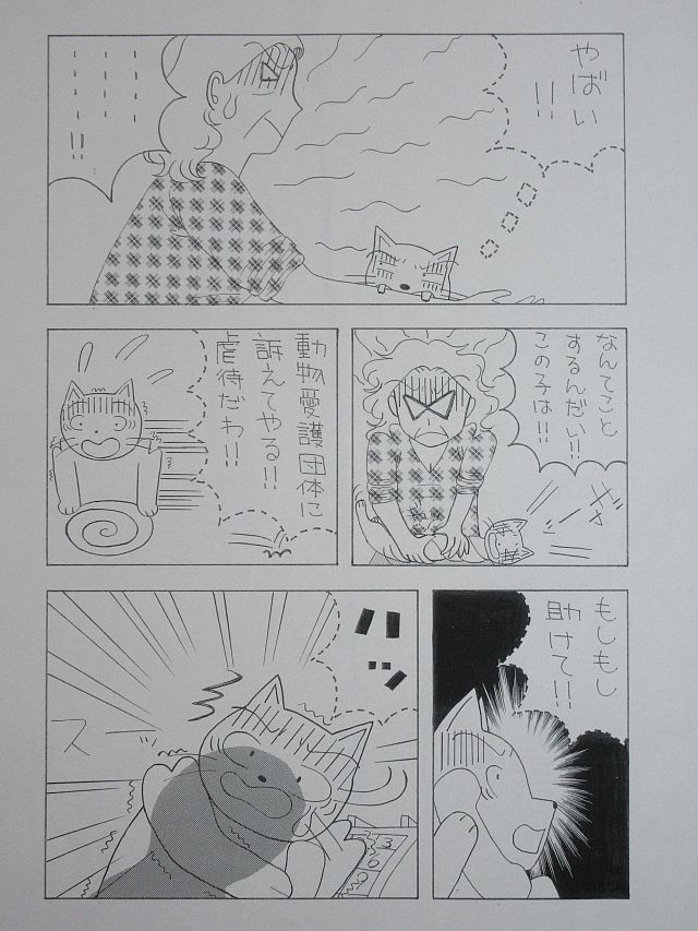 f:id:irurunoblog:20190221113103j:plain