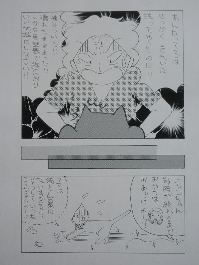 f:id:irurunoblog:20190221113120j:plain