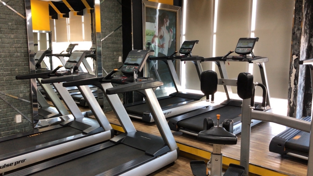 hd fitnessでビジター筋トレ shin s weblog