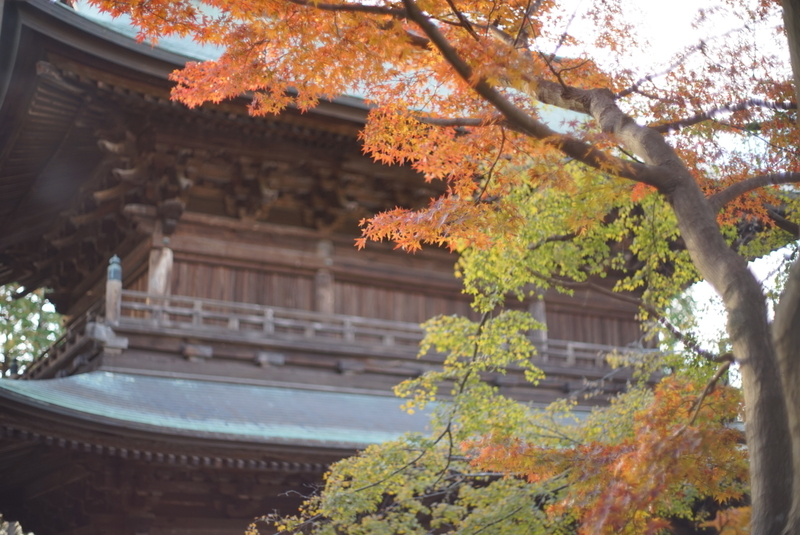 f:id:is130:20191216013229j:plain f:id:is130:20191216013229j:plain