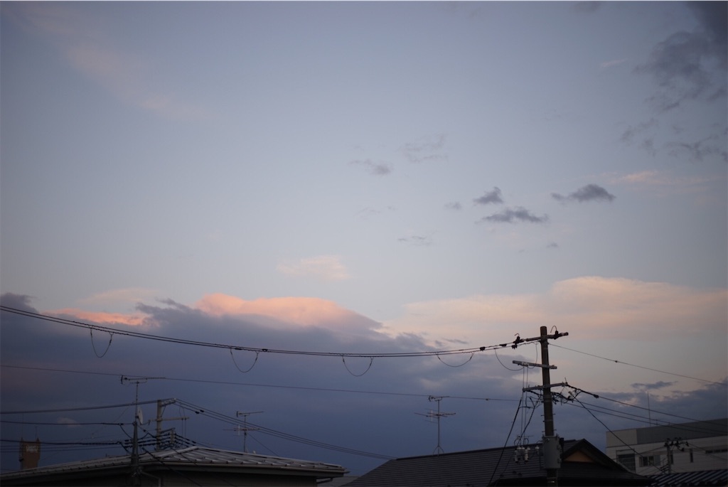 f:id:is130:20200805185304j:image f:id:is130:20200805185304j:image