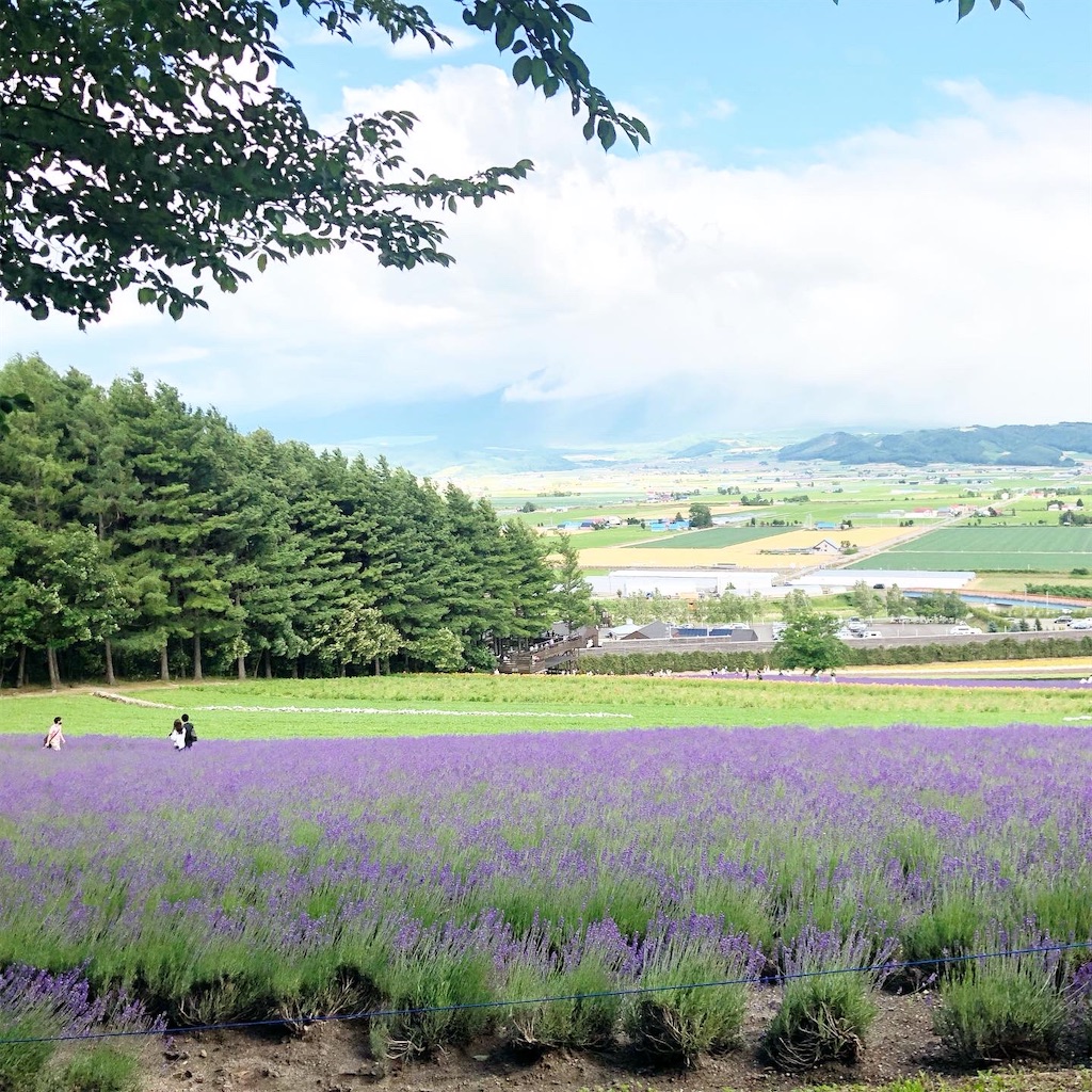 f:id:isa_miyai:20220820120443j:image