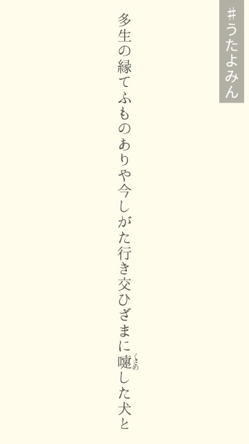 f:id:isachibi59:20181231211004j:image