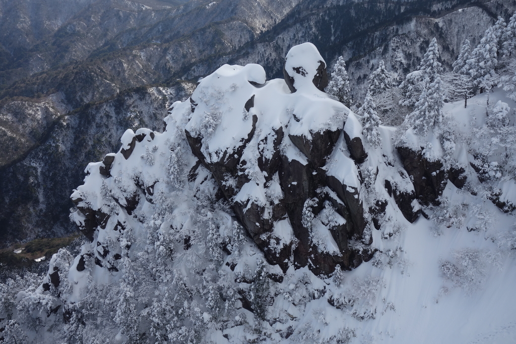 f:id:isakamichihiko:20190119115027j:plain f:id:isakamichihiko:20190119115027j:plain