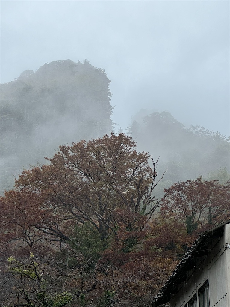 f:id:isakonoID:20250209201937j:image
