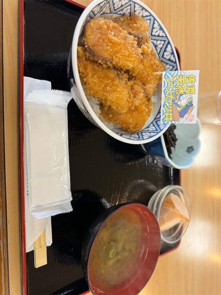 f:id:isakonoID:20250209202112j:image
