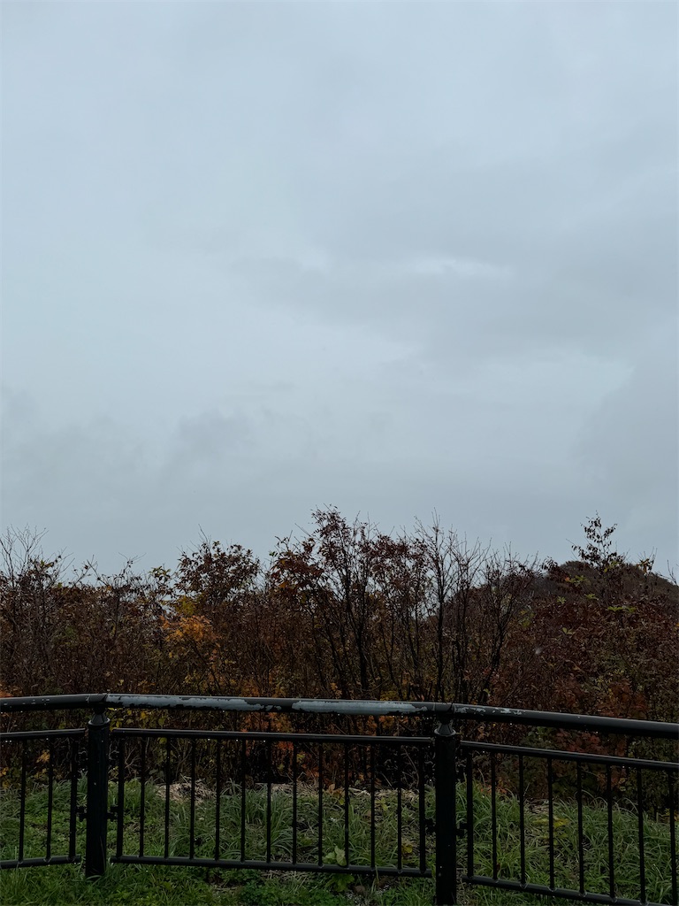 f:id:isakonoID:20250209202214j:image