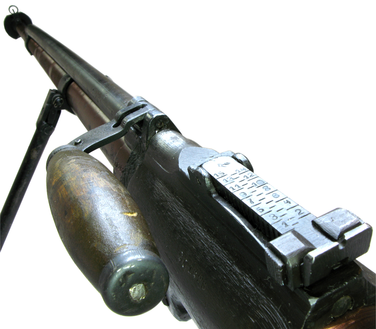 f:id:isami-hama:20210110063118j:plain