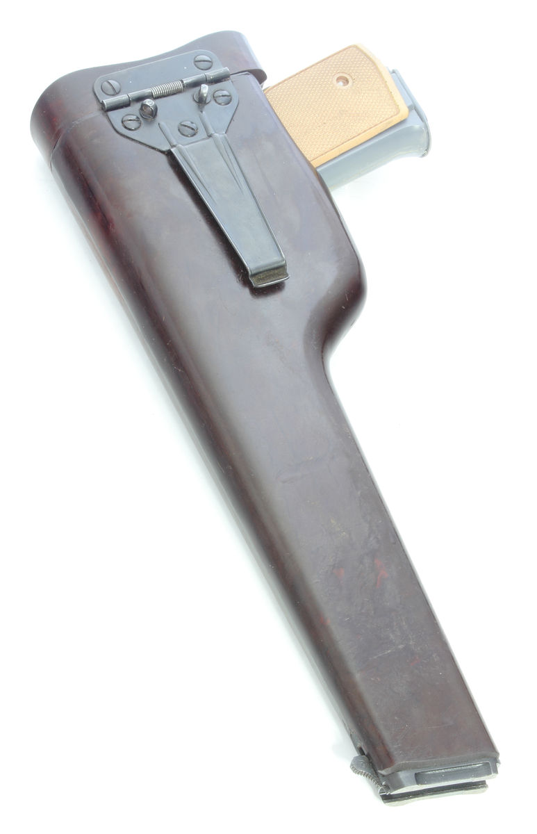 f:id:isami-hama:20210325013035j:plain