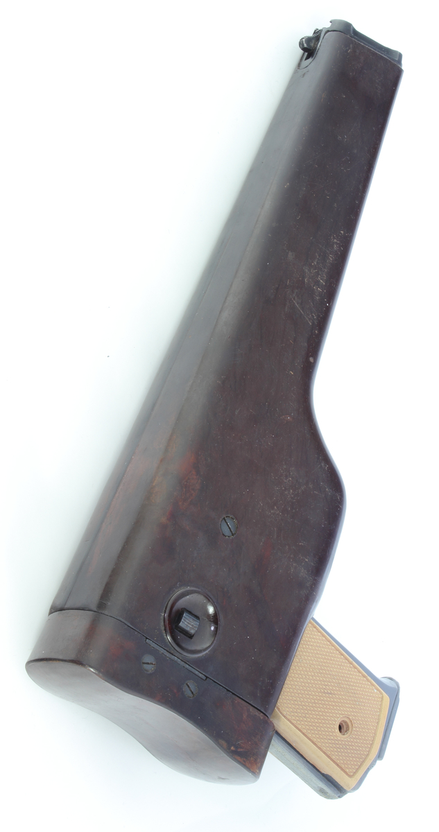 f:id:isami-hama:20210325013042j:plain