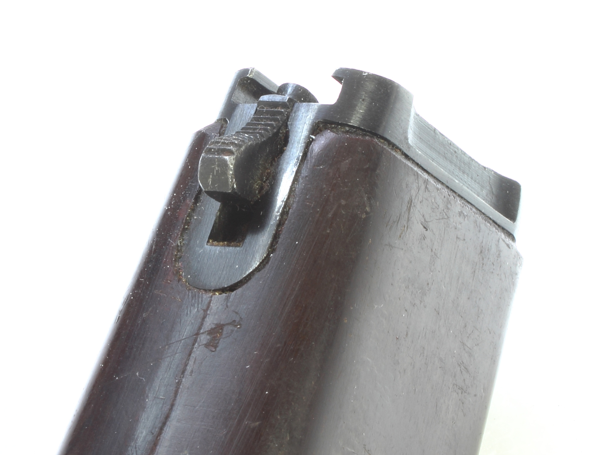 f:id:isami-hama:20210325014122j:plain