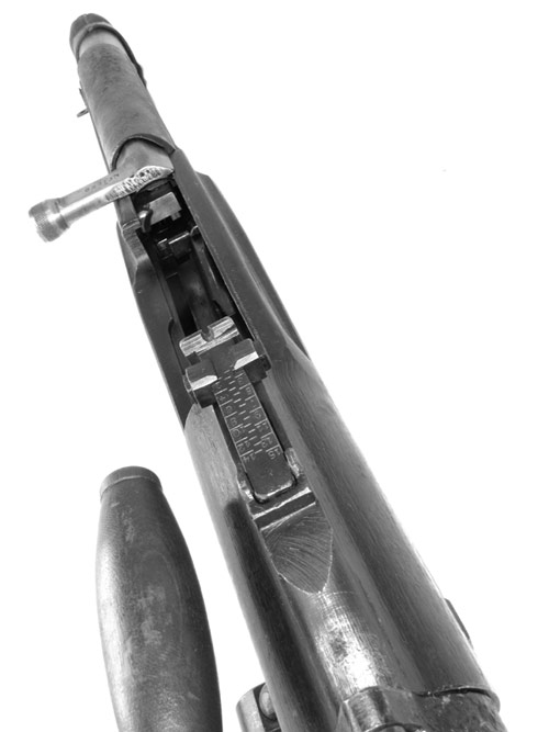 f:id:isami-hama:20210328203621j:plain