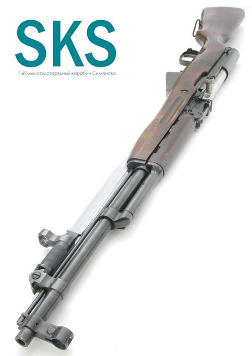 f:id:isami-hama:20210404152903j:plain