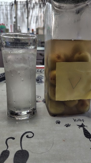 f:id:isamuman:20250706193612j:image